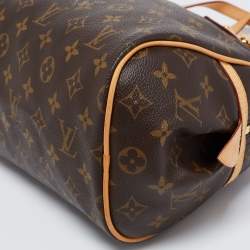 مملوكة مسبقًا حقيبة لوي فيتون مونتورغويل كانفاس مونوغرامي PM