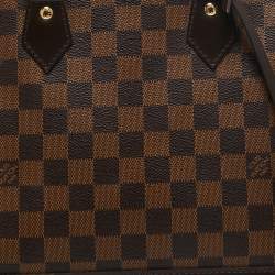 Pre Owned حقيبة لوي فيتون ألما كانفاس دامييه إيبين PM