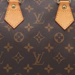 مملوكة مسبقً ا Louis Vuitton Monogram Canvas Speedy 25 Bag