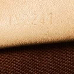 مملوكة مسبقًا Louis Vuitton Monogram Canvas Speedy Nano Bag