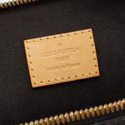 Pre Owned Louis Vuitton Terre D’Ombre Monogram Vernis Alma PM Bag