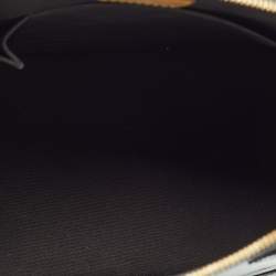 Pre Owned Louis Vuitton Terre D’Ombre Monogram Vernis Alma PM Bag