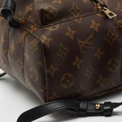 Pre Owned Louis Vuitton Monogram Canvas and Leather Palm Springs PM Backpack