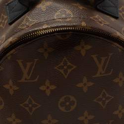 Pre Owned Louis Vuitton Monogram Canvas and Leather Palm Springs PM Backpack