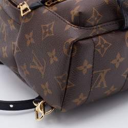 Louis Vuitton Brown Monogram Canvas Mini Palm Spring Bag