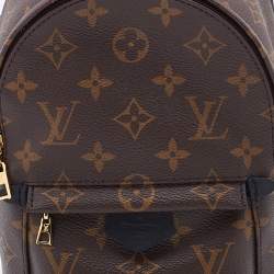 Louis Vuitton Brown Monogram Canvas Mini Palm Spring Bag