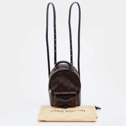 Louis Vuitton Brown Monogram Canvas Mini Palm Spring Bag