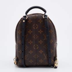 Louis Vuitton Brown Monogram Canvas Mini Palm Spring Bag