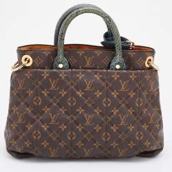 Pre Owned Louis Vuitton Monogram Canvas/Python and Ostrich Limited Edition Etoile Exotique MM Bag