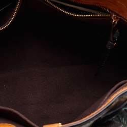 Pre Owned Louis Vuitton Monogram Canvas/Python and Ostrich Limited Edition Etoile Exotique MM Bag