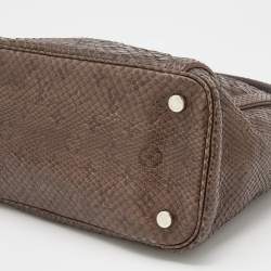 Pre Owned Louis Vuitton Etoupe Monogram Python Antheia Ixia PM Bag