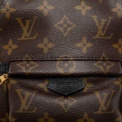 Louis Vuitton Monogram Canvas Mini Palm Springs Backpack