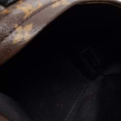 Louis Vuitton Monogram Canvas Mini Palm Springs Backpack