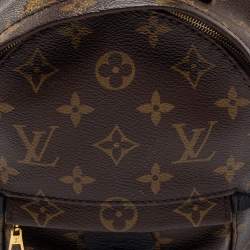 Louis Vuitton Monogram Canvas Mini Palm Springs Backpack