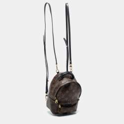 Louis Vuitton Monogram Canvas Mini Palm Springs Backpack
