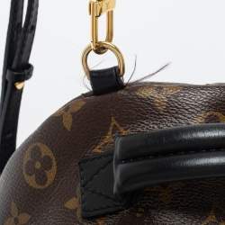 Louis Vuitton Monogram Canvas Mini Palm Springs Backpack