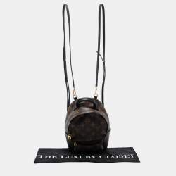 Louis Vuitton Monogram Canvas Mini Palm Springs Backpack