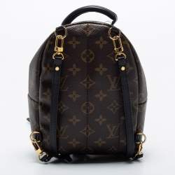 Louis Vuitton Monogram Canvas Mini Palm Springs Backpack