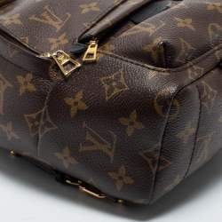 Louis Vuitton Monogram Canvas Mini Palm Springs Backpack