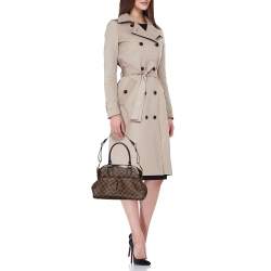 Pre Owned Louis Vuitton Damier Ebene Canvas Trevi PM Bag