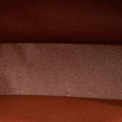 مملوكة مسبقًا Louis Vuitton Brown Monogram Nile Bag