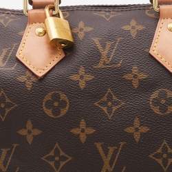 Pre Owned Louis Vuitton Monogram Canvas Speedy 25 Bag