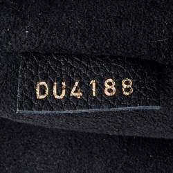 Pre Owned Louis Vuitton Black Damier Ebene Canvas LV Riverside Bag
