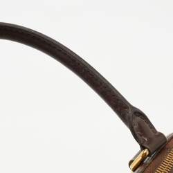 Pre Owned Louis Vuitton Damier Ebene Canvas Trevi PM Bag