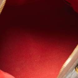 Pre Owned Louis Vuitton Damier Ebene Canvas Trevi PM Bag
