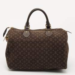 Pre Owned Louis Vuitton Fusain Monogram Mini Lin Canvas Speedy 30 Bag