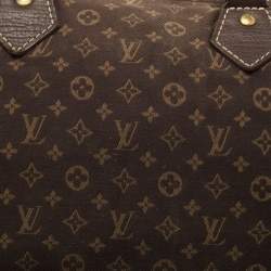 Pre Owned Louis Vuitton Fusain Monogram Mini Lin Canvas Speedy 30 Bag