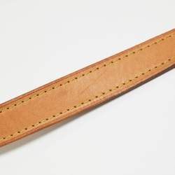 Pre Owned Louis Vuitton Monogram Canvas Menilmontant MM Bag