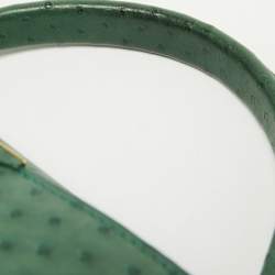 Pre Owned Louis Vuitton Green Ostrich Capucines PM Bag