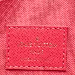 Pre Owned Louis Vuitton Monogram Canvas Limited Edition Vivienne Felicie Pochette Bag