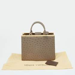Pre Owned Louis Vuitton Taupe Ostrich Deesse PM Bag