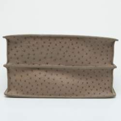 Pre Owned Louis Vuitton Taupe Ostrich Deesse PM Bag