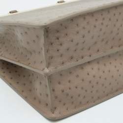 Pre Owned Louis Vuitton Taupe Ostrich Deesse PM Bag