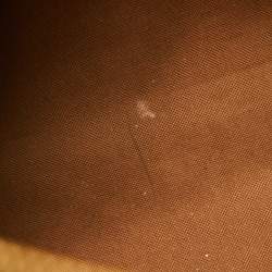 Pre Owned حقيبة لوي فيتون سبيدي كانفاس مونوغرامي 30 