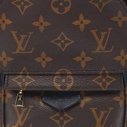 Pre Owned Louis Vuitton Monogram Canvas Mini Palm Springs Backpack