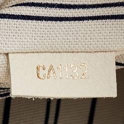 Pre Owned Louis Vuitton Neige Monogram Empreinte Leather Citadine PM Bag