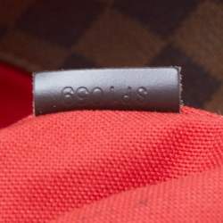 مملوكة مسبقًا حقيبة لوى فيتون بلومسبيرى كانفاس دامييه أيبين PM