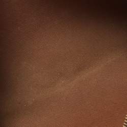Pre Owned Louis Vuitton Monogram Canvas Eva Pochette Bag