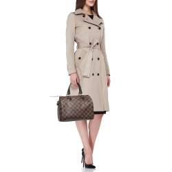 Pre Owned Louis Vuitton Damier Ebene Canvas Speedy 25 Bag