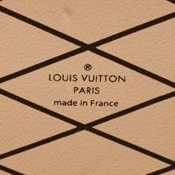 Pre Owned Louis Vuitton Monogram Canvas Petite Malle Bag
