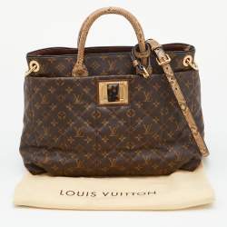 Pre Owned Louis Vuitton Monogram Canvas Limited Edition Etoile Exotique GM Bag