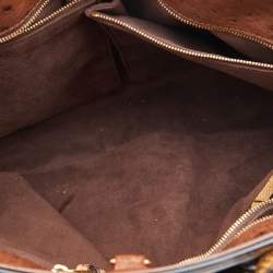 Pre Owned Louis Vuitton Monogram Canvas Limited Edition Etoile Exotique GM Bag