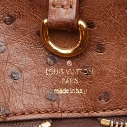 Pre Owned Louis Vuitton Monogram Canvas Limited Edition Etoile Exotique GM Bag