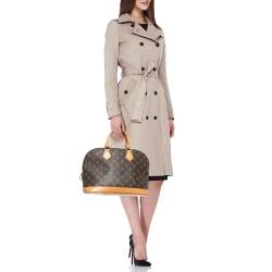 Pre Owned Louis Vuitton Monogram Canvas Alma PM Bag
