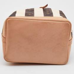 Pre Owned Louis Vuitton Monogram Canvas Limited Edition Rayures Petit Noe Bag