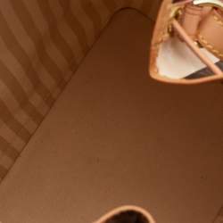 Pre Owned Louis Vuitton Monogram Canvas Limited Edition Rayures Petit Noe Bag